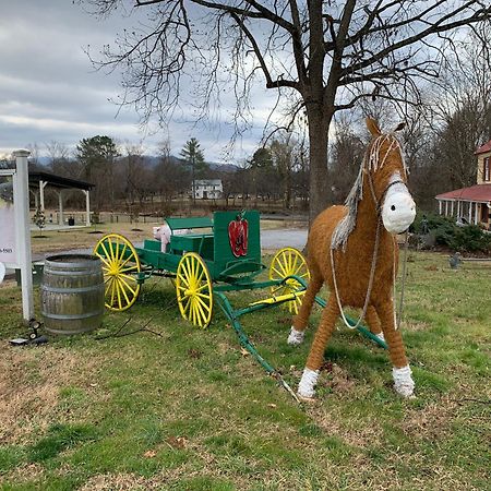Bill'S On Little Pigeon River Pigeon Forge Exterior foto
